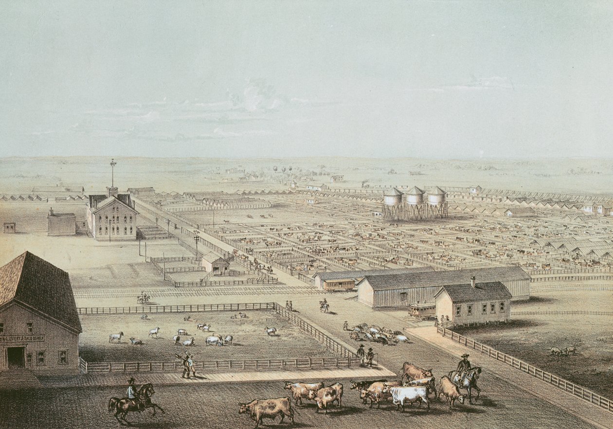 Union Stockyards, Chicago de American School