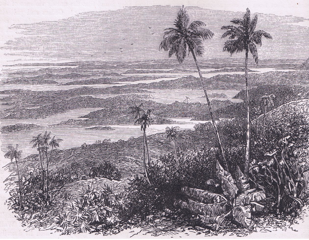 Vista das Bermudas, ilustração de Cassell