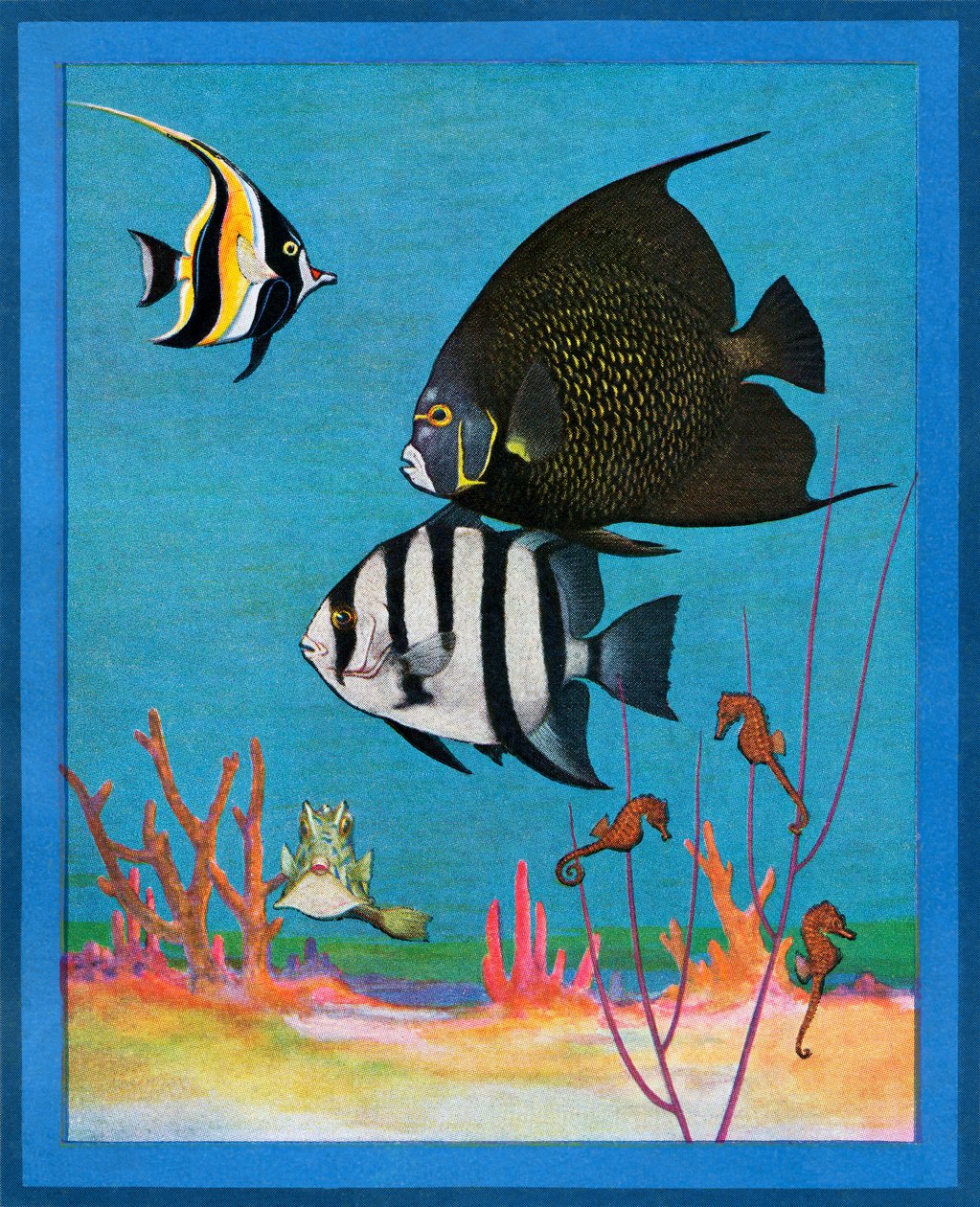 Impressão vintage de um aquário de água salgada com peixes tropicais de American School