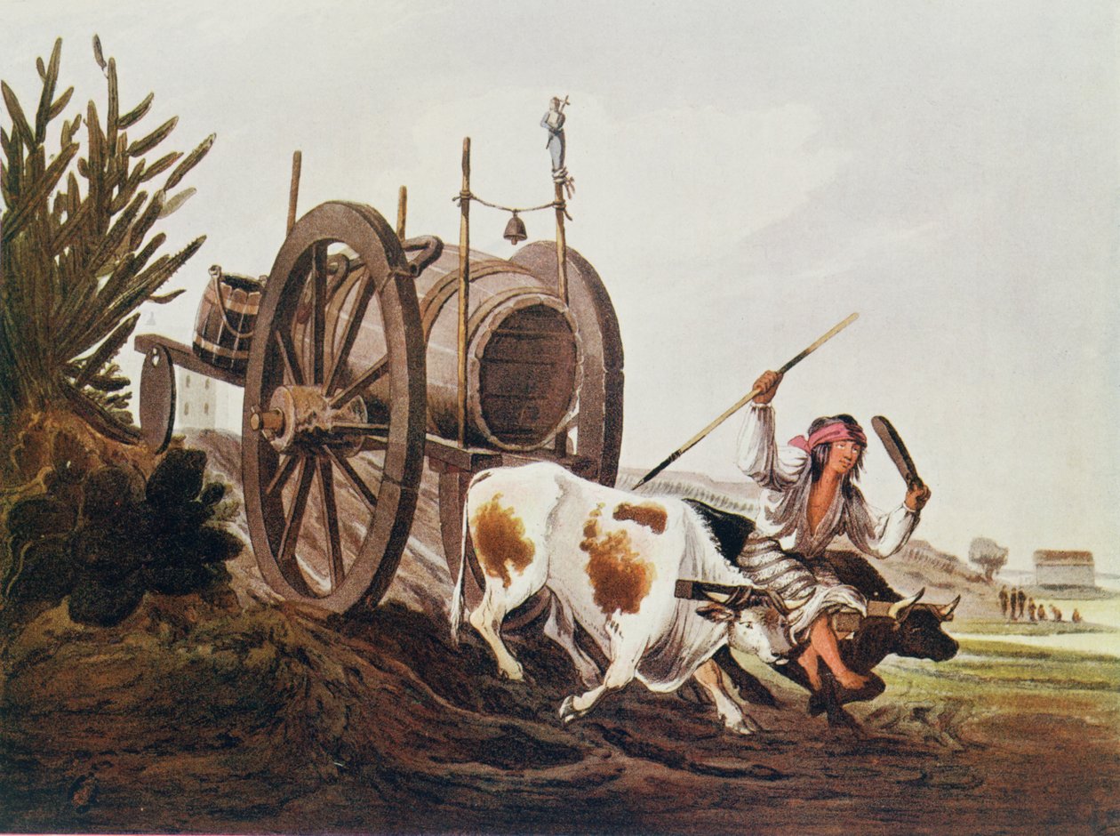 Carrinho de água, reproduzido a partir de ilustrações pitorescas de Vidals de Buenos Aires e Montevidéu, pub. em 1820, de O Romance do Rio da Prata, vol. Eu, por WH Koebel, 1914 de American School