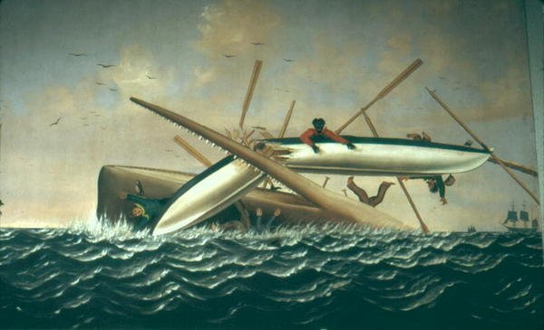 Baleia atacando um barco longo de American School