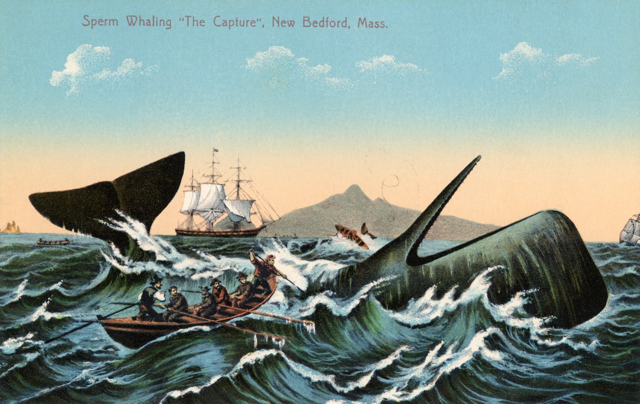 Baleeiros Harpooning a Sperm Whale Off New Bedford, Massachusetts de American School