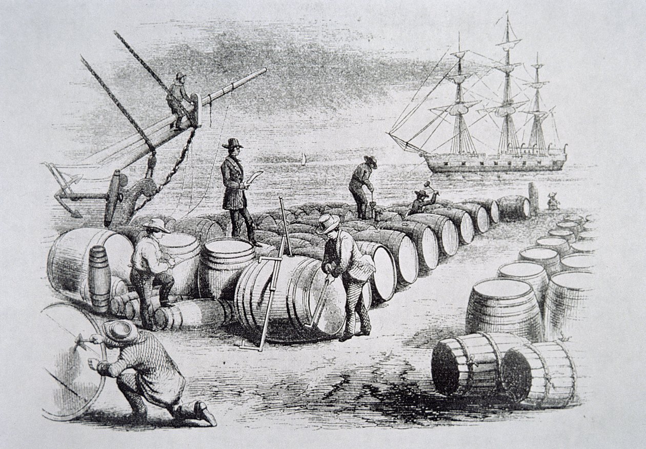 Baleeiros aferindo óleo em barris, da The American Whale Fishery, c.1850 (gravura) de American School