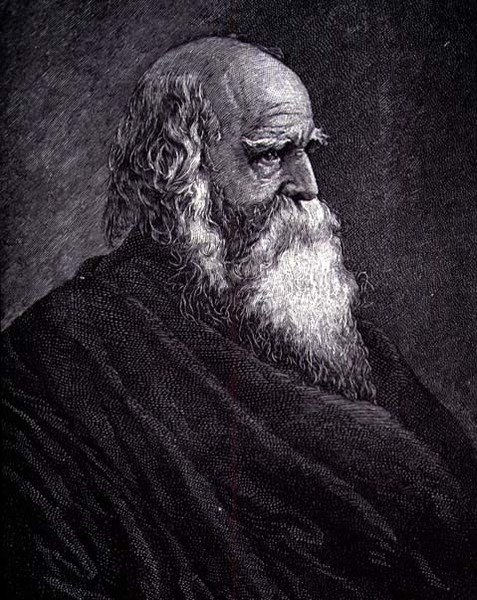 William Cullen Bryant (gravura) de American School