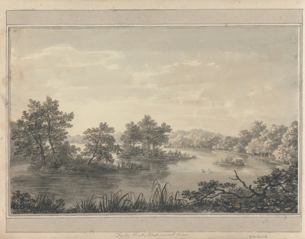 Vistas em Inglaterra, Escócia e País de Gales: Darley Pond, Buttercoomb Moor de Amos Green