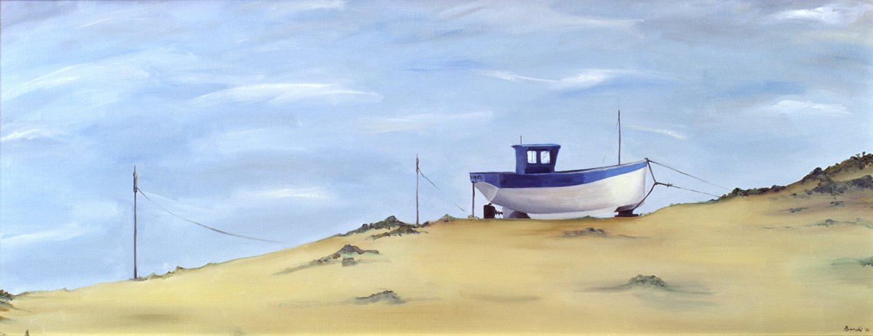 Encalhado de Ana Bianchi