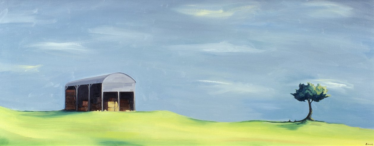Poulton Fields de Ana Bianchi