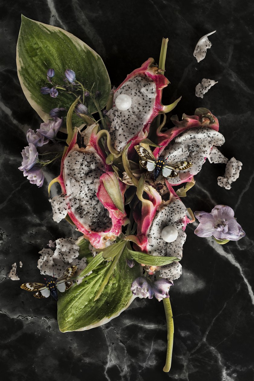 Eve_08, 2016 (Fotografia) de Ana Carolina Tavares Mizrahi