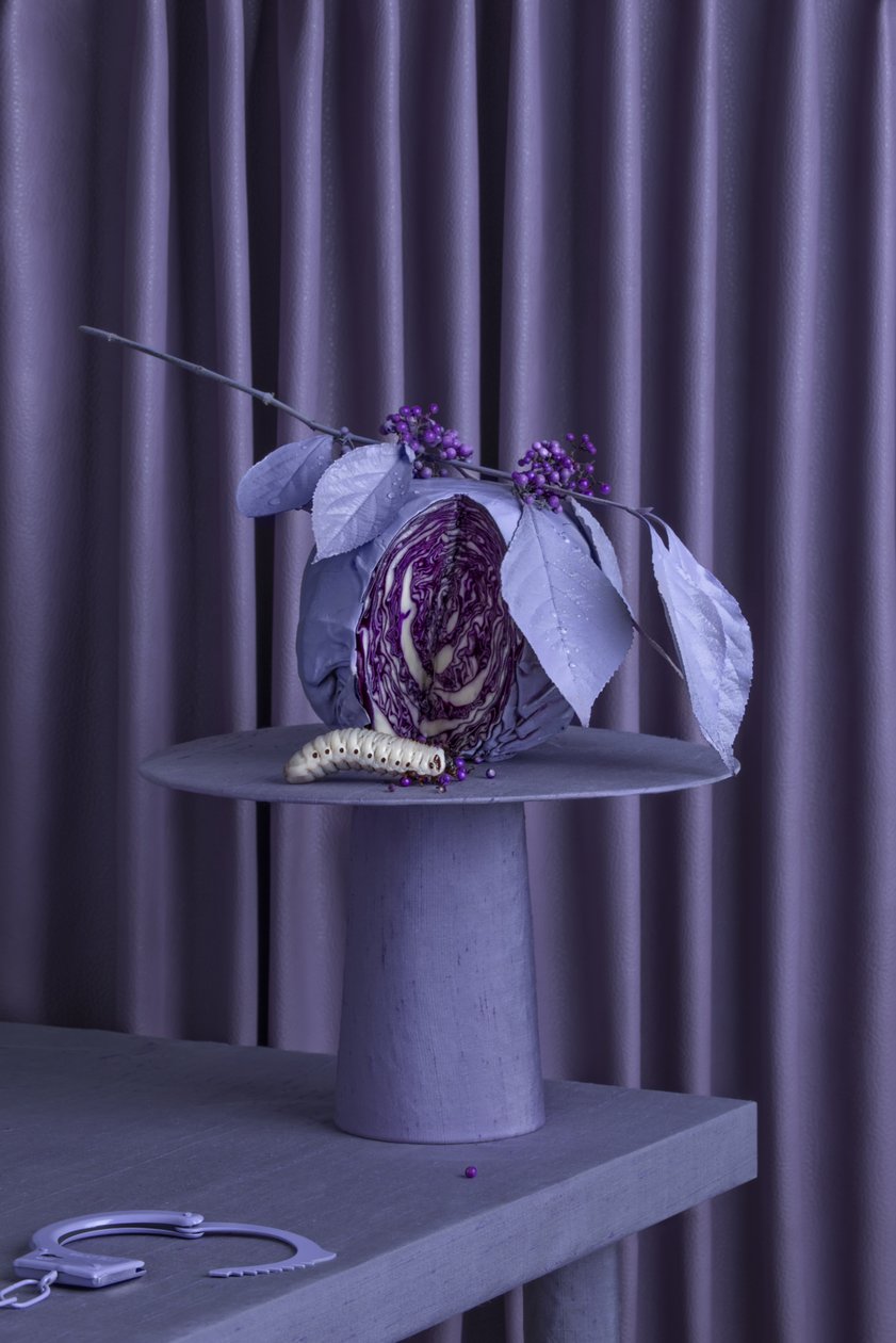 A _Festa_de_Despedida_03, 2016 (fotografia) de Ana Carolina Tavares Mizrahi