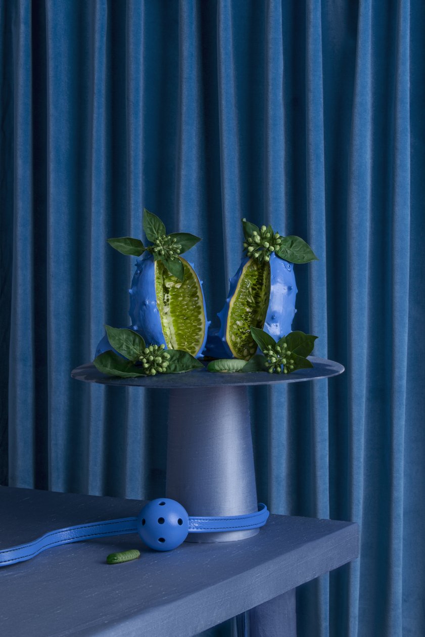 A _Festa_de_Despedida_06, 2016 (fotografia) de Ana Carolina Tavares Mizrahi