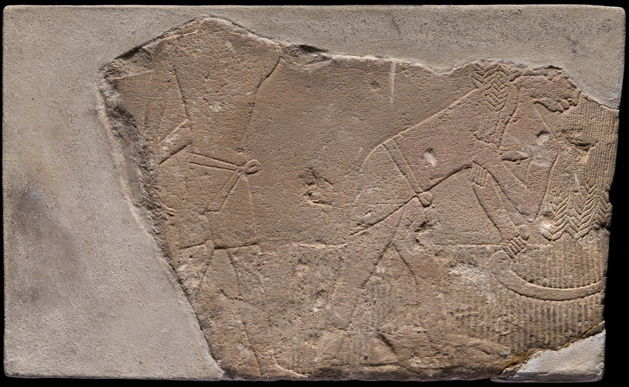 Fragmento de parede de um túmulo representando uma cena de colheita de Ancient Egyptian