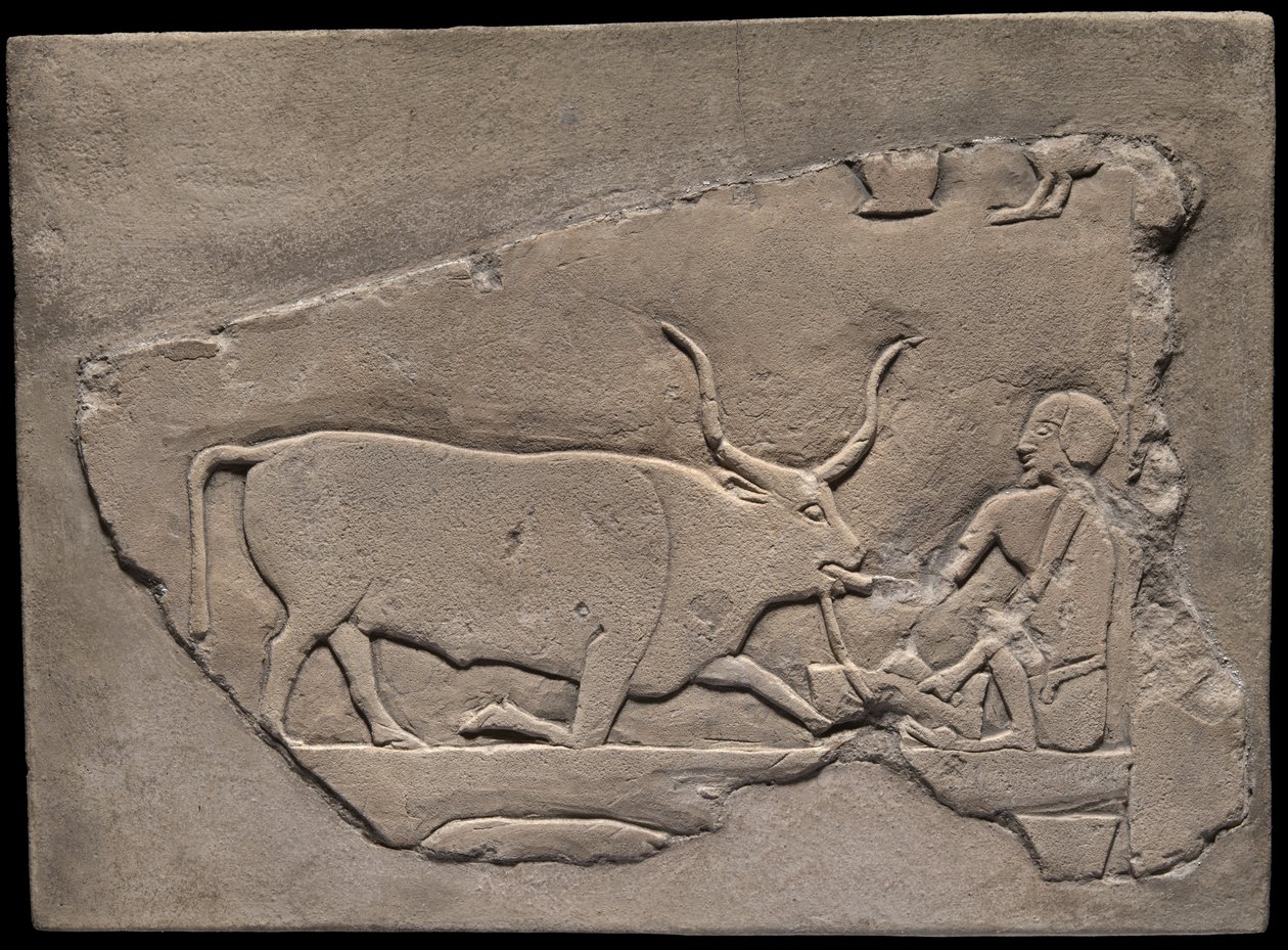 Fragmento de parede de um túmulo representando um pastor de Ancient Egyptian
