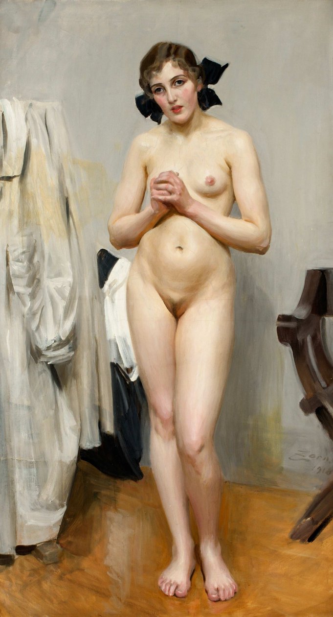 Quatorze anos eu acho que sabia que estava de Anders Leonard Zorn