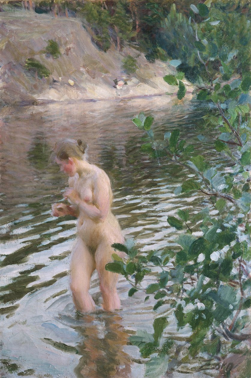 frio de Anders Leonard Zorn