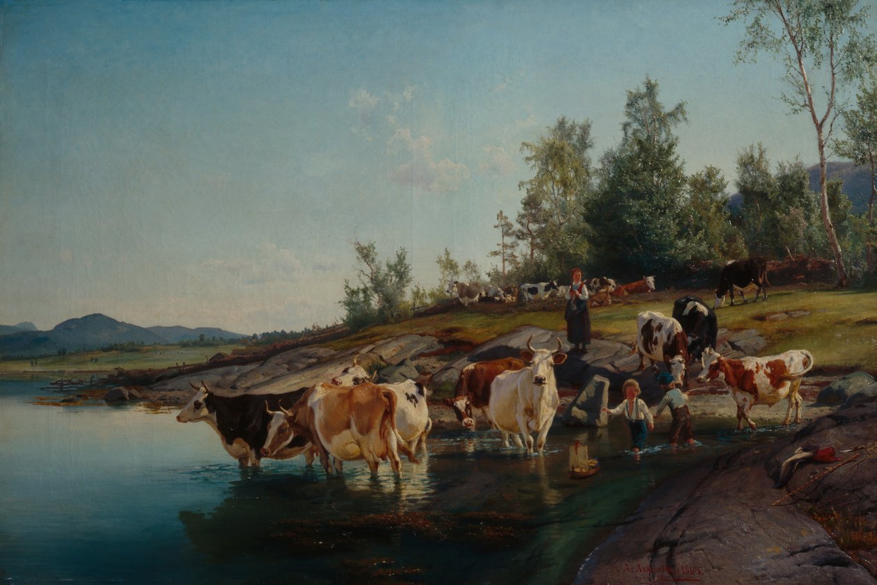 Vacas junto ao mar de Anders Askevold