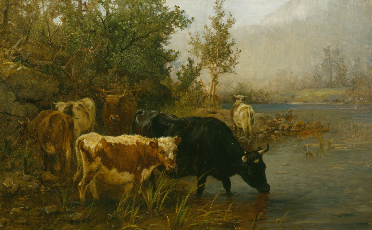 Vacas junto à água de Anders Askevold