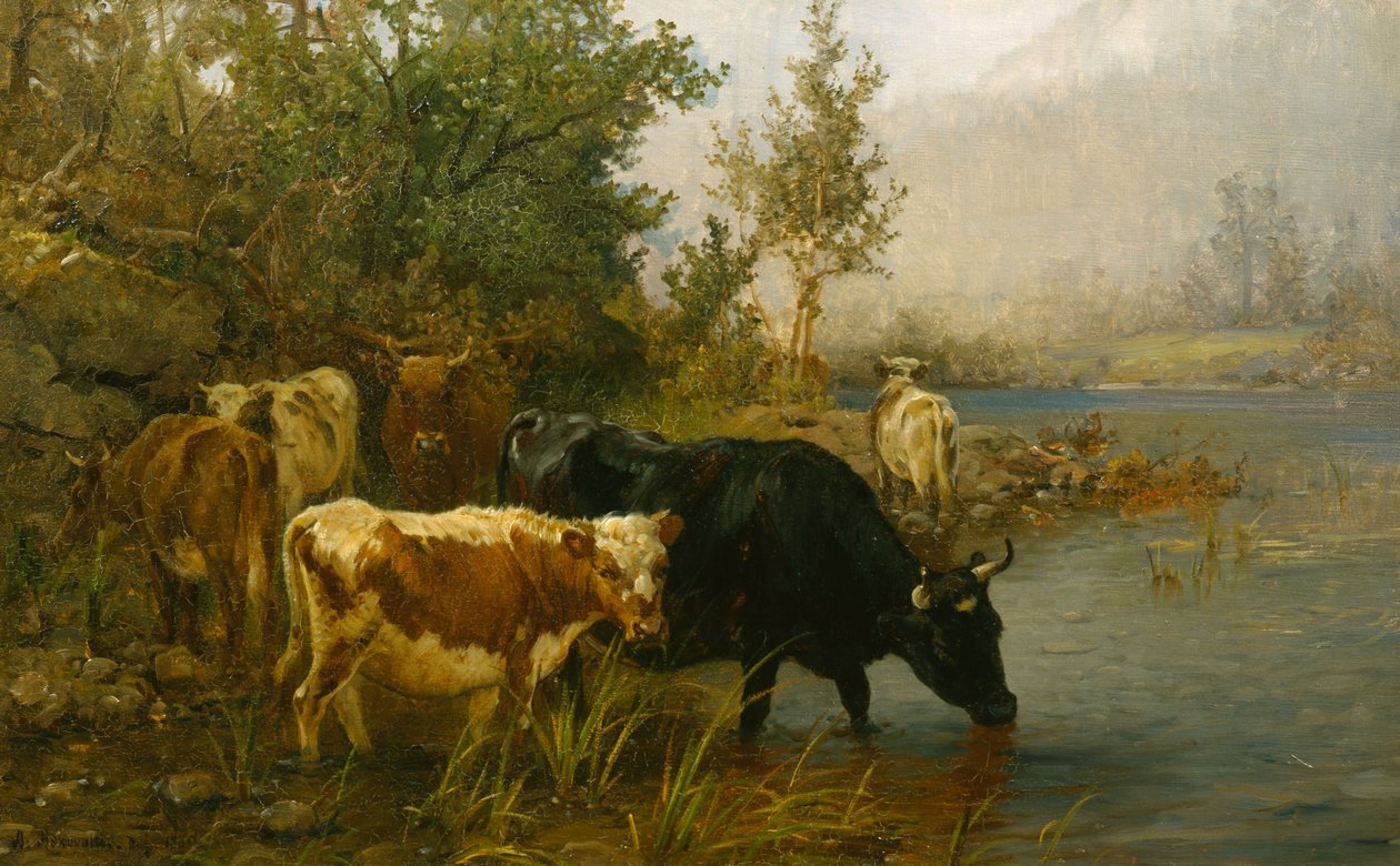 Vacas junto à água de Anders Askevold