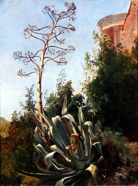 Paisagem; Sul da Itália de Anders Christian Lunde