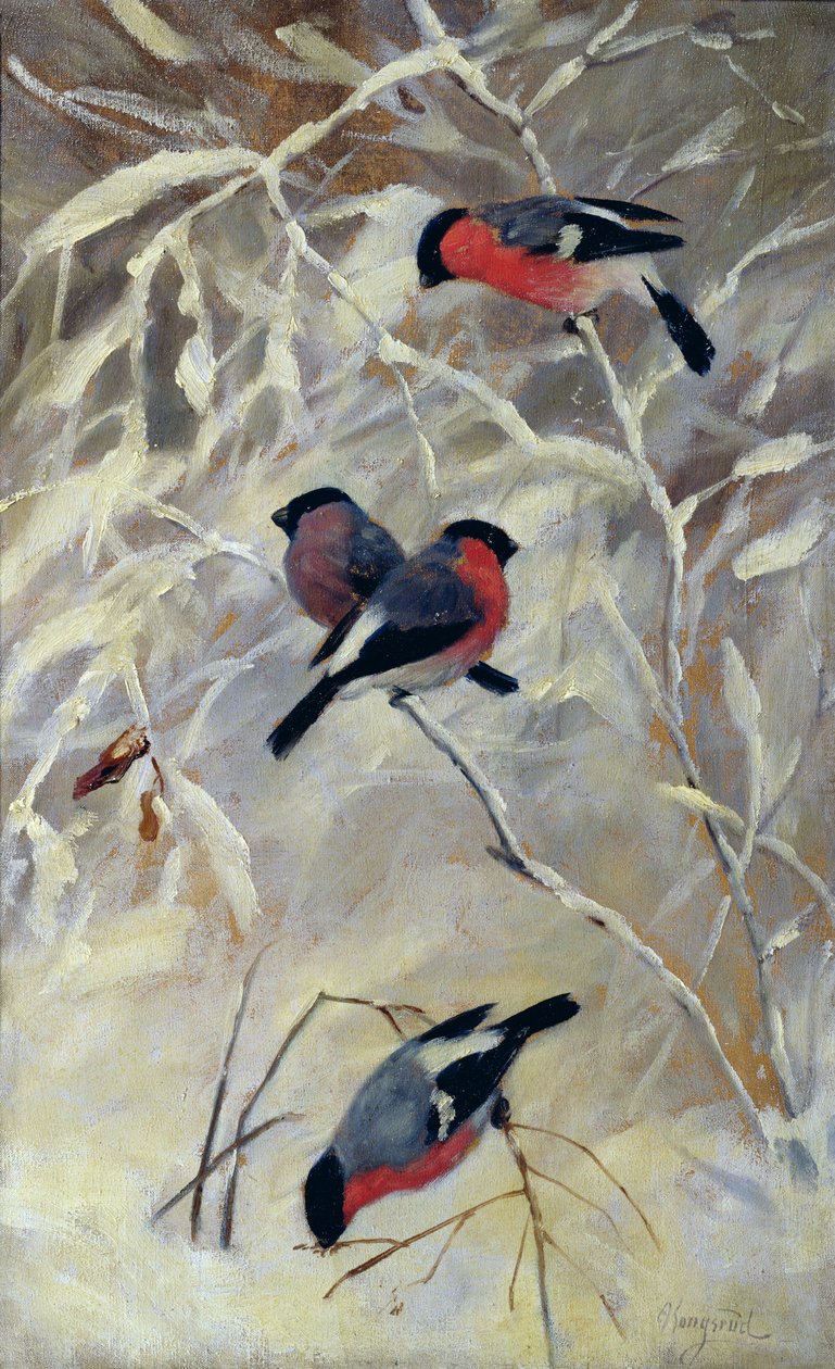 Bullfinches (óleo sobre tela) de Anders Kongsrud