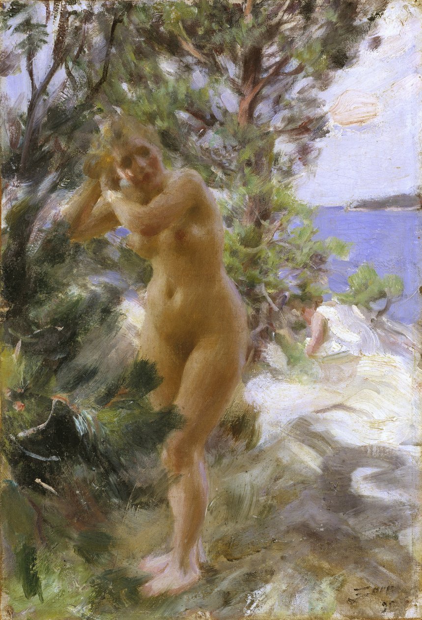 Depois do banho de Anders Leonard Zorn