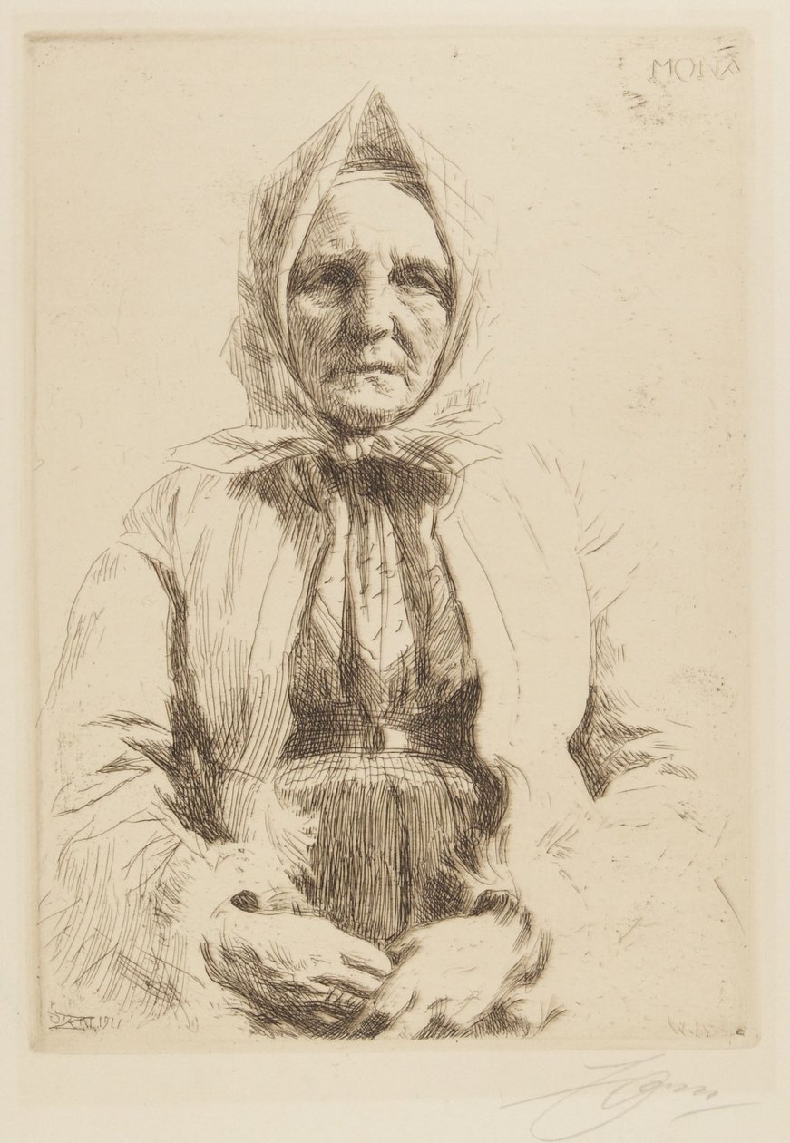 Aqui de Anders Leonard Zorn