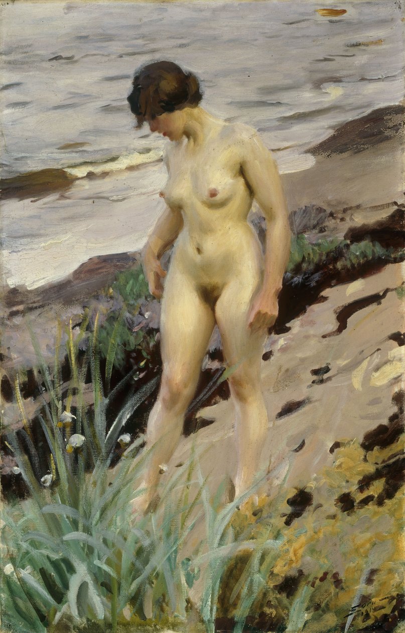 Estudo Sandhamn, 1914 de Anders Leonard Zorn