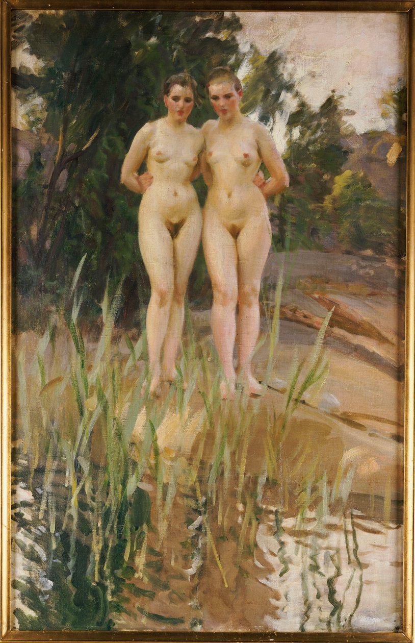 Dois amigos de Anders Leonard Zorn