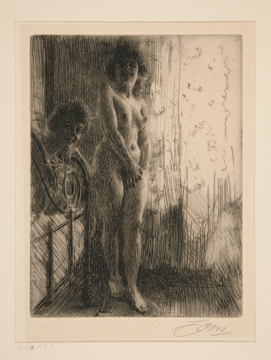 Um canto escuro de Anders Leonard Zorn