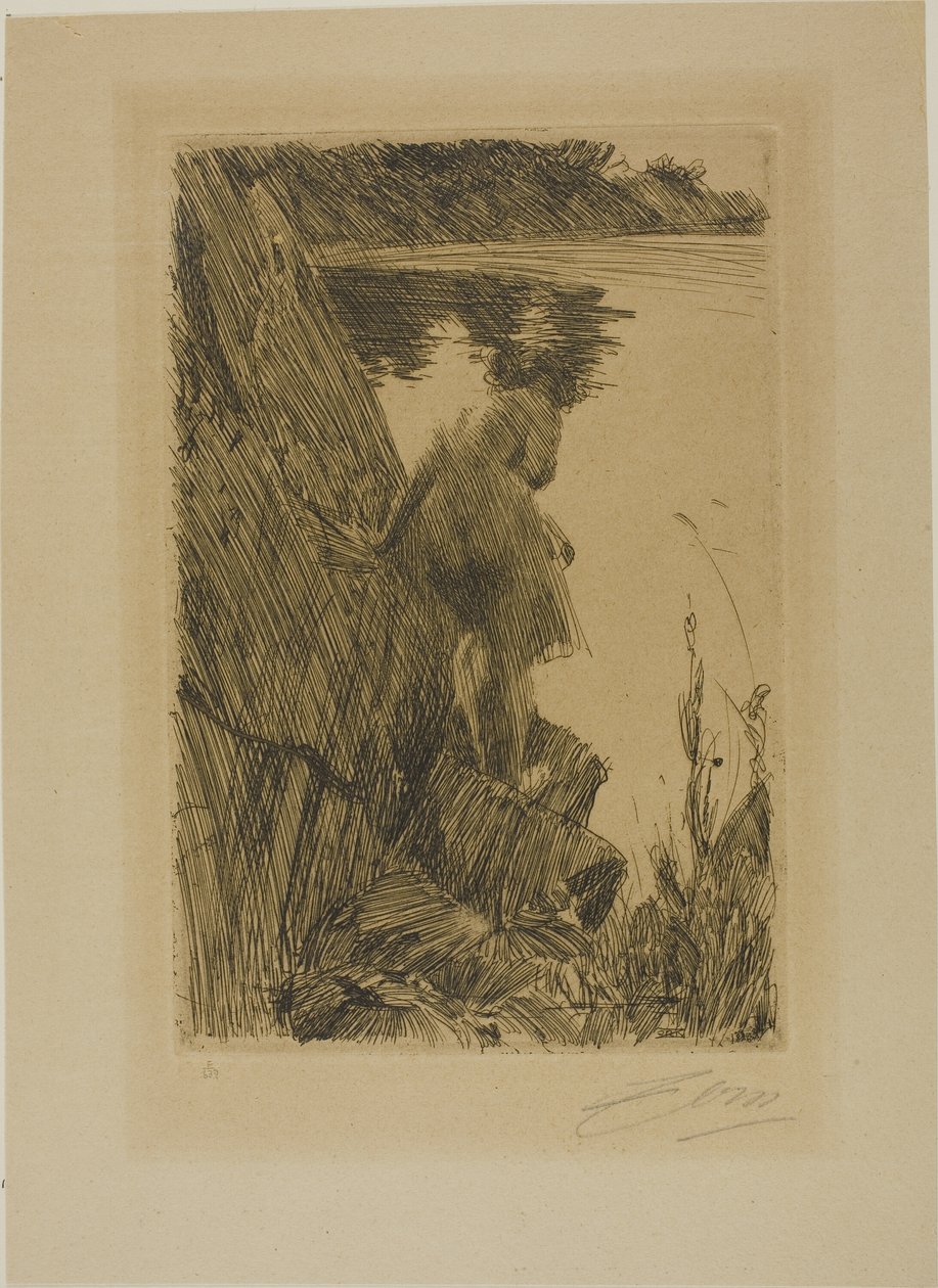 Banhista (Noite) III de Anders Leonard Zorn