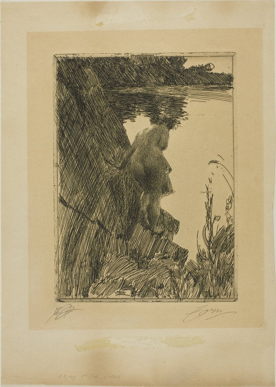 Banhista (Noite) II de Anders Leonard Zorn