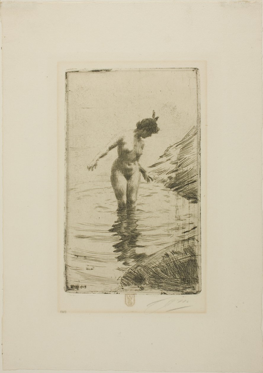 Círculos de água II de Anders Zorn