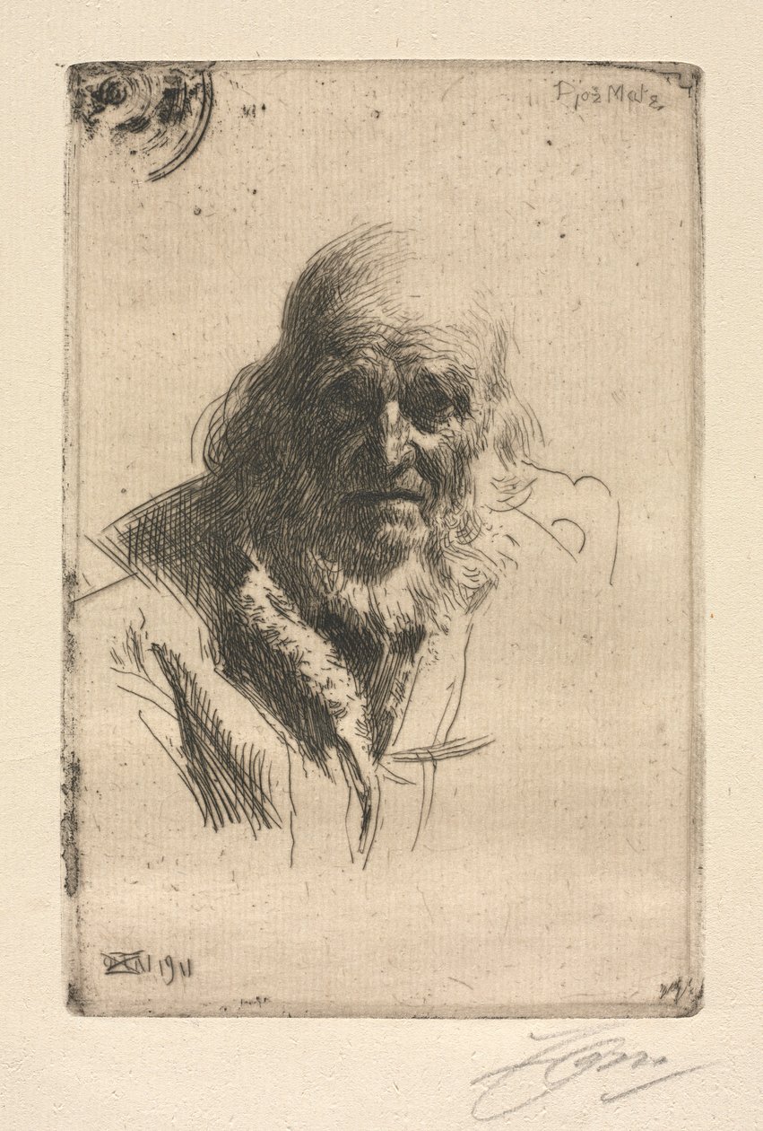 Djos Mats de Anders Leonard Zorn