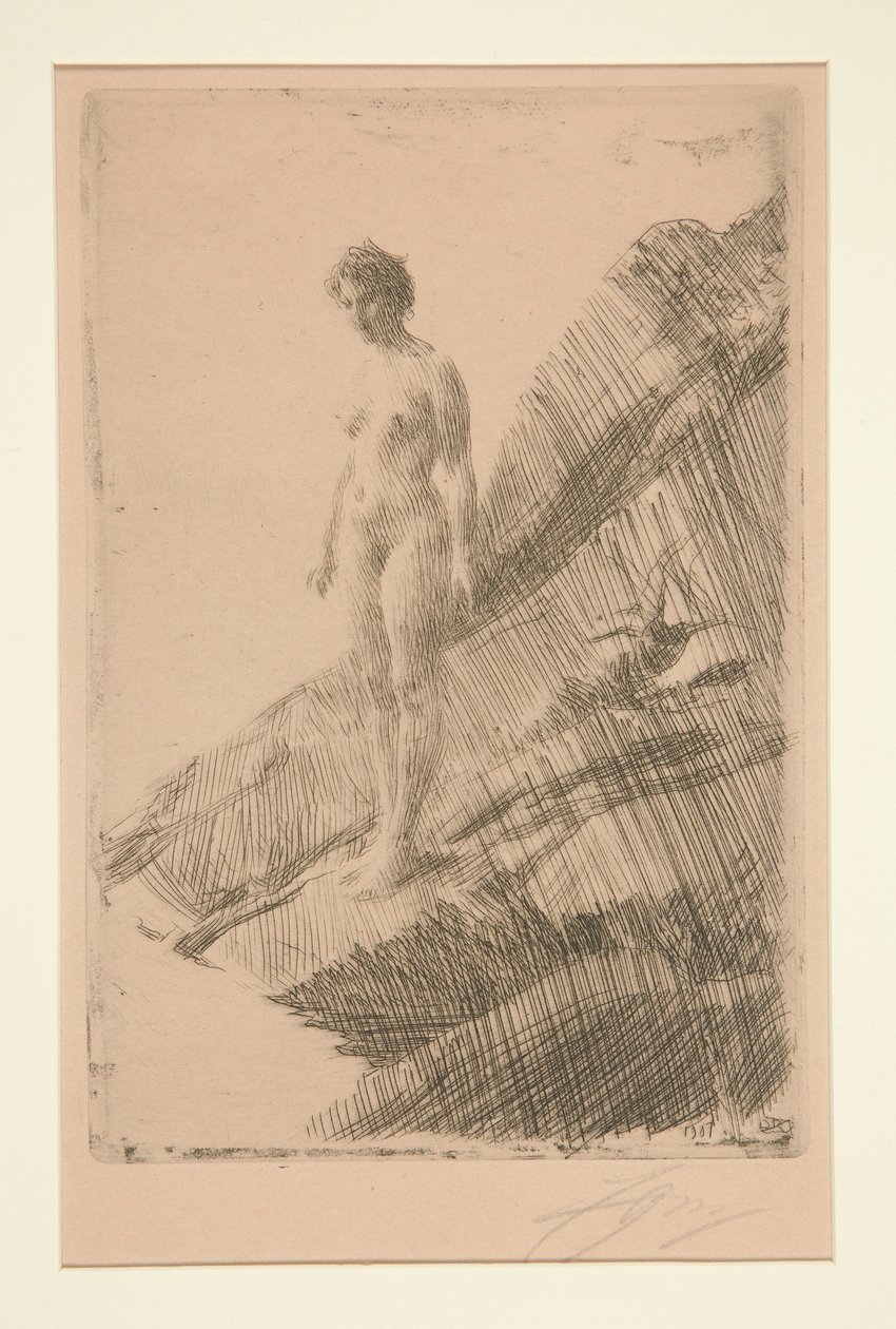 Edo de Anders Leonard Zorn