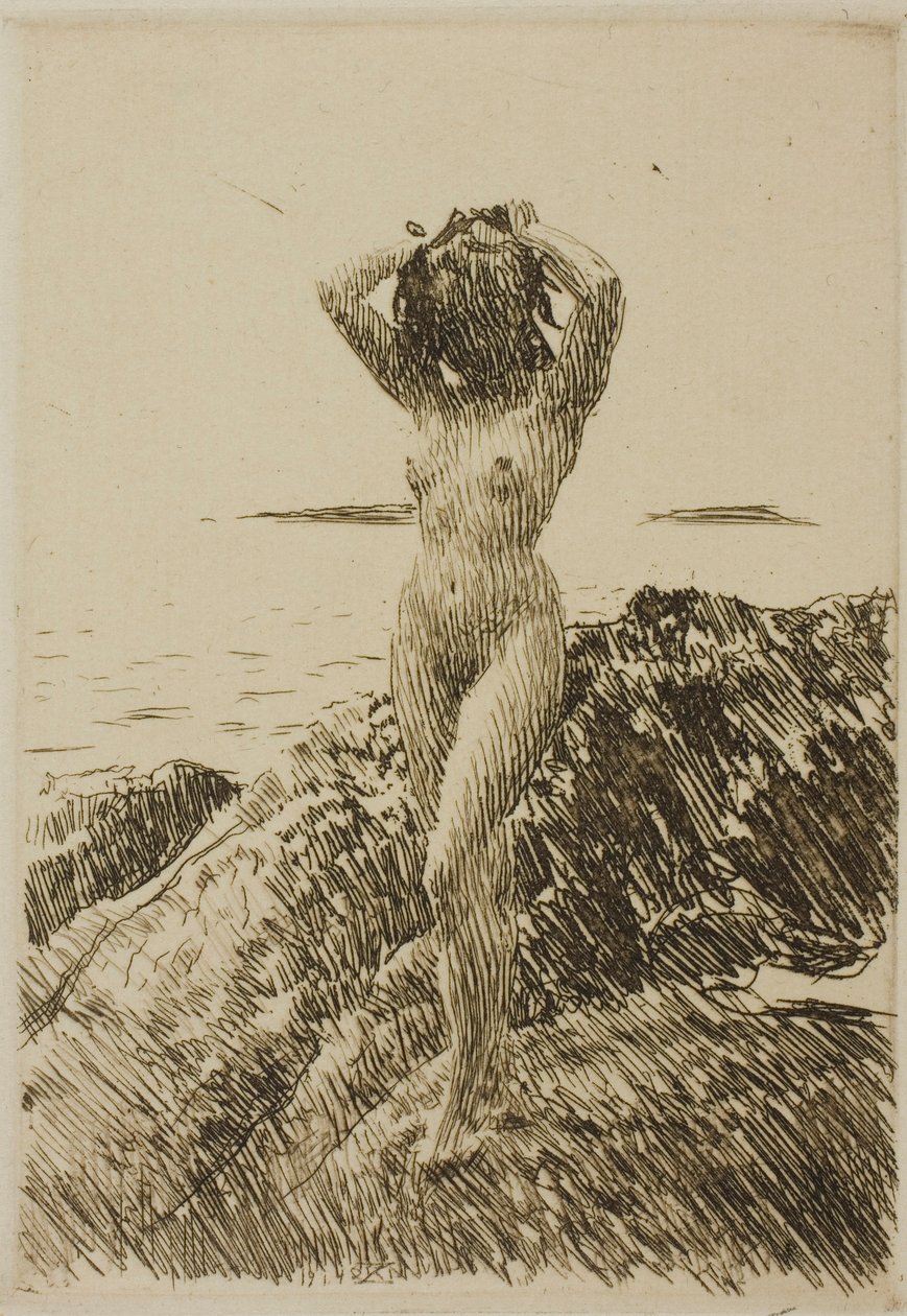Hårtång (coroa de algas marinhas) de Anders Zorn