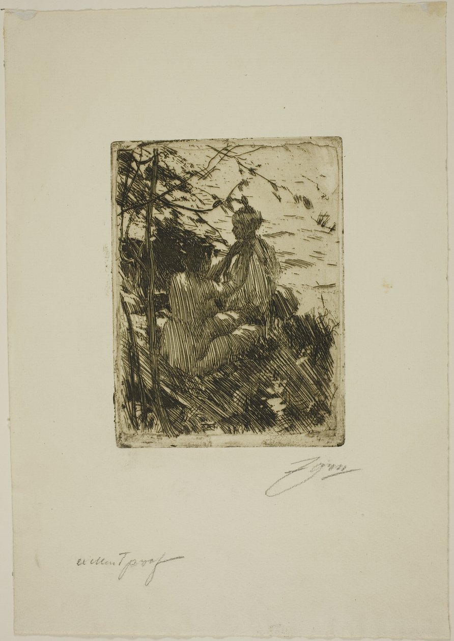 Ao ar livre de Anders Leonard Zorn