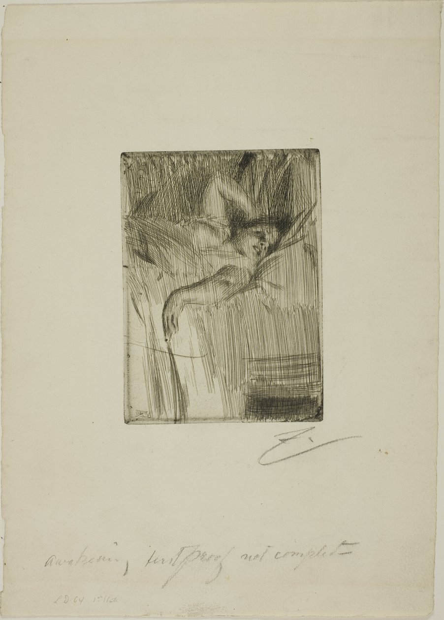 O alarme de Anders Leonard Zorn