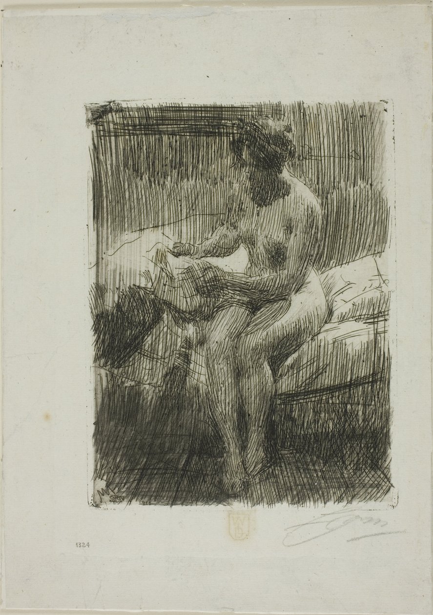 Leitura do modelo de Anders Leonard Zorn