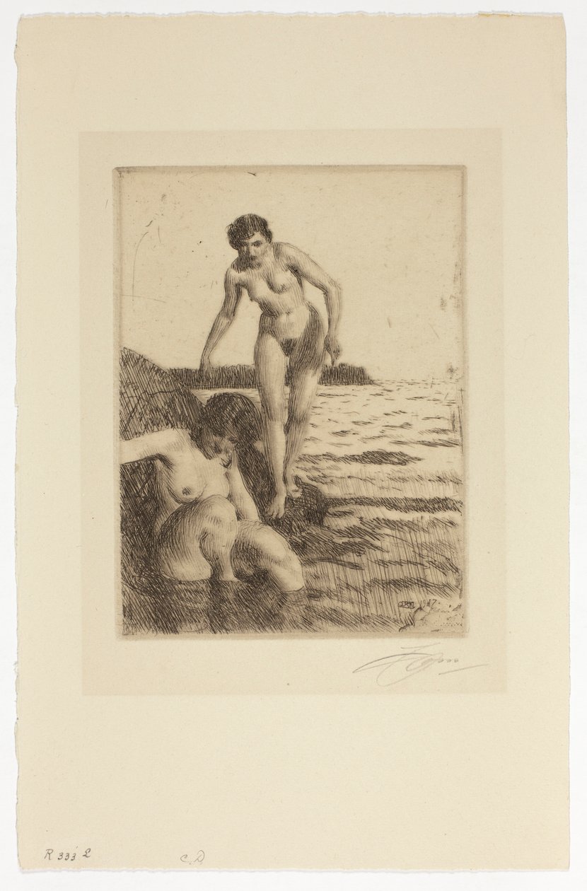 Na ilha de Hemsö de Anders Zorn