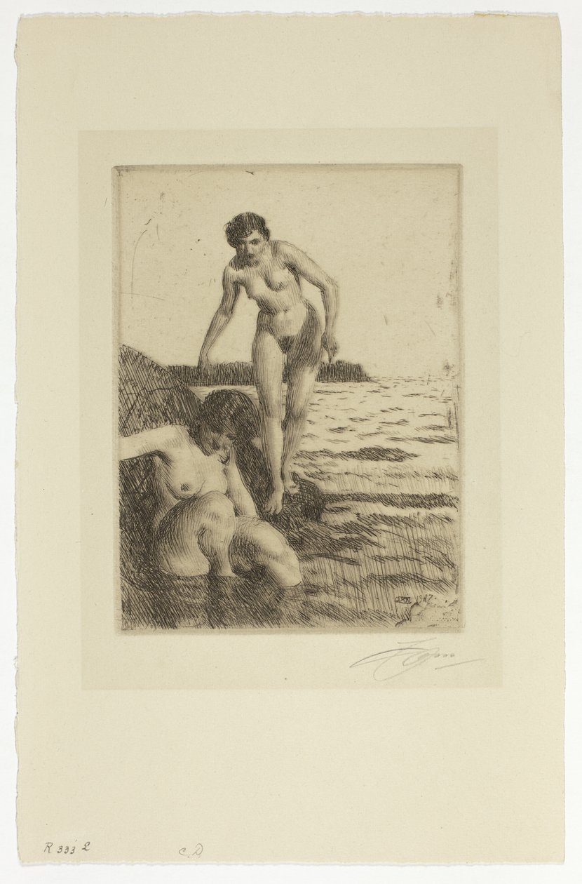 Na ilha de Hemsö de Anders Leonard Zorn