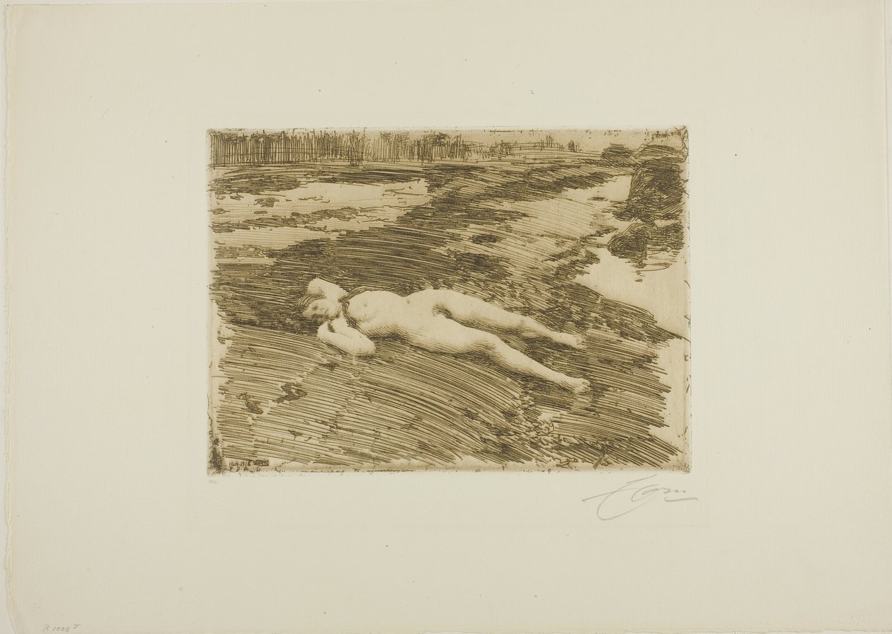 Nas areias de Anders Leonard Zorn