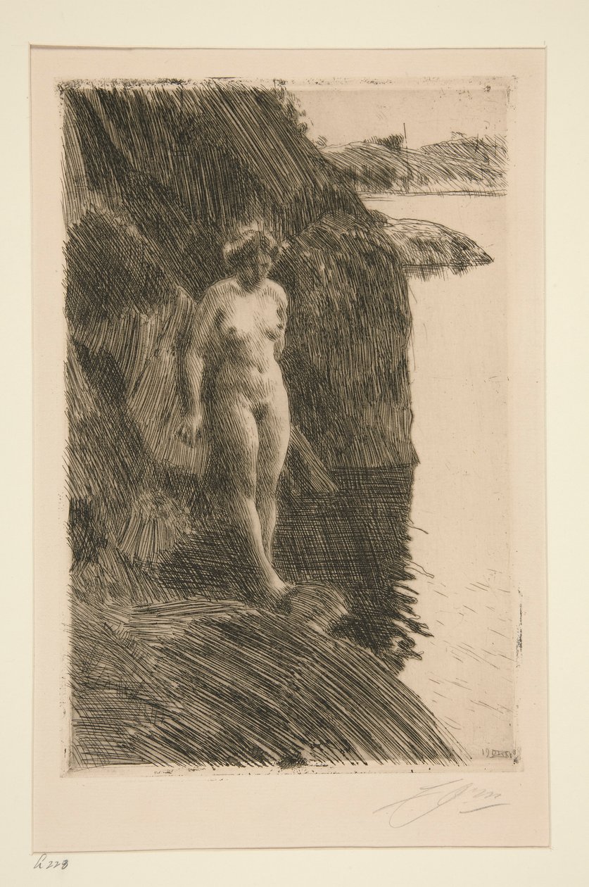 Especialmente de Anders Leonard Zorn