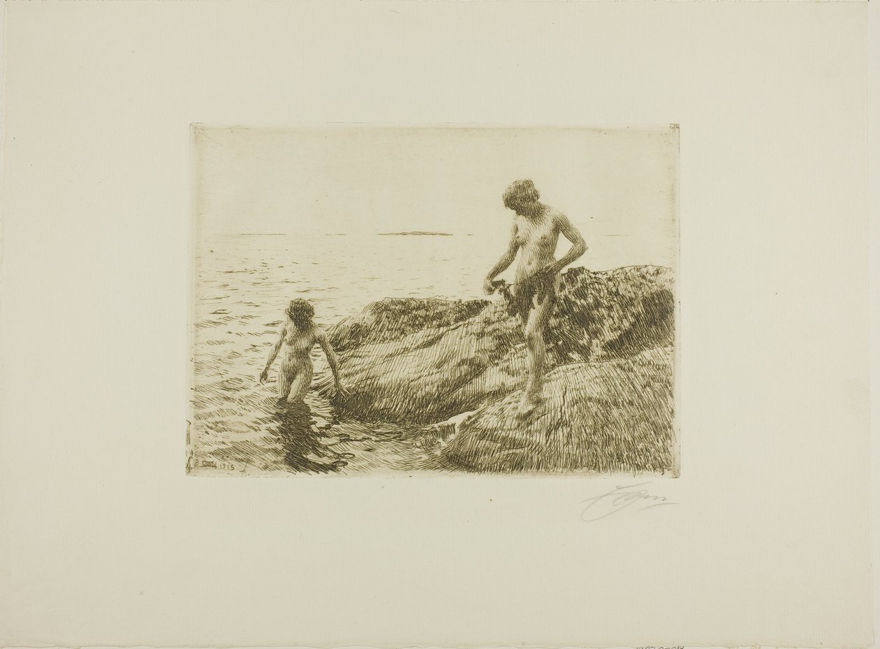 Skerries à beira-mar de Anders Leonard Zorn