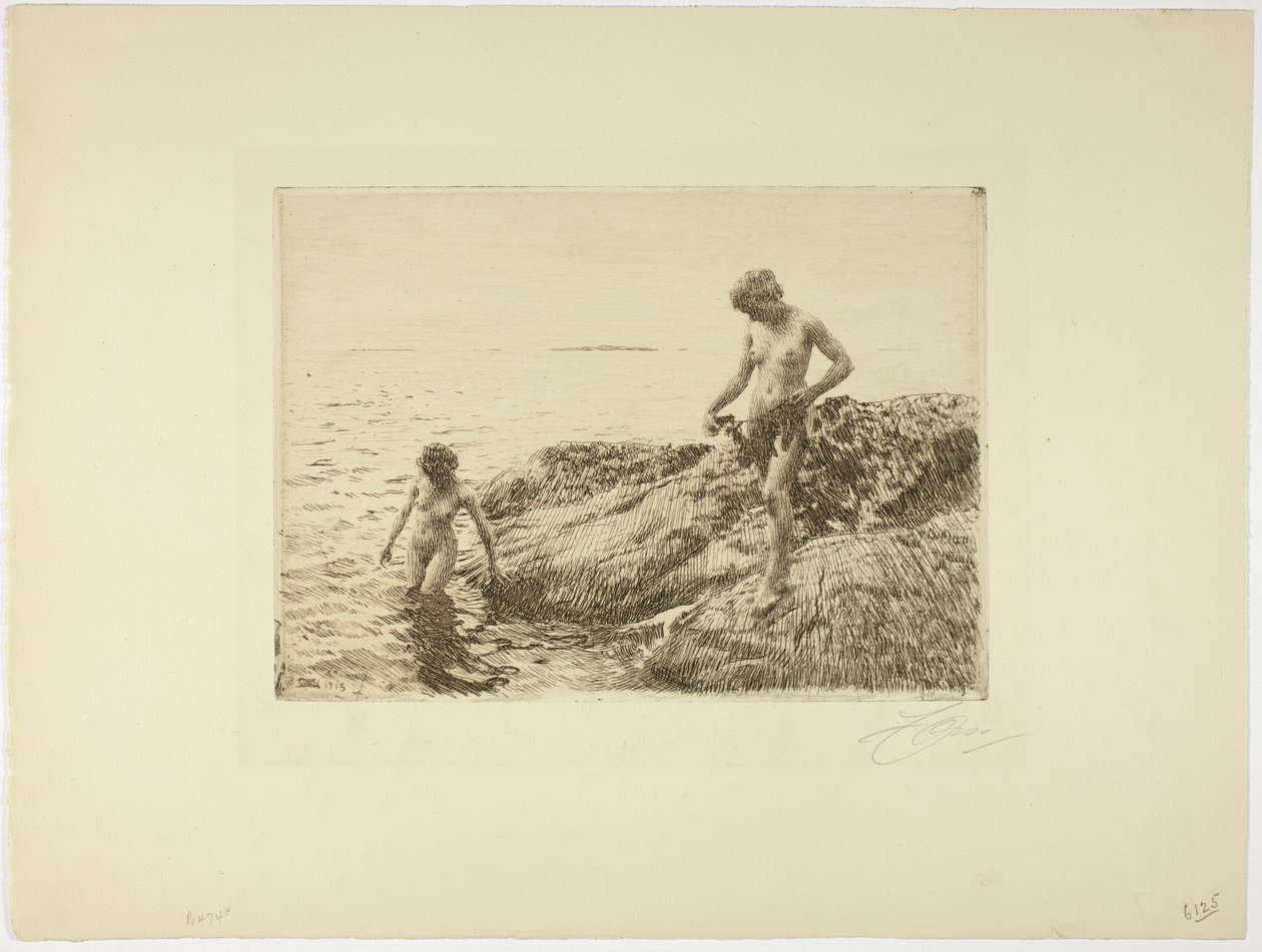 Skerries à beira-mar de Anders Leonard Zorn