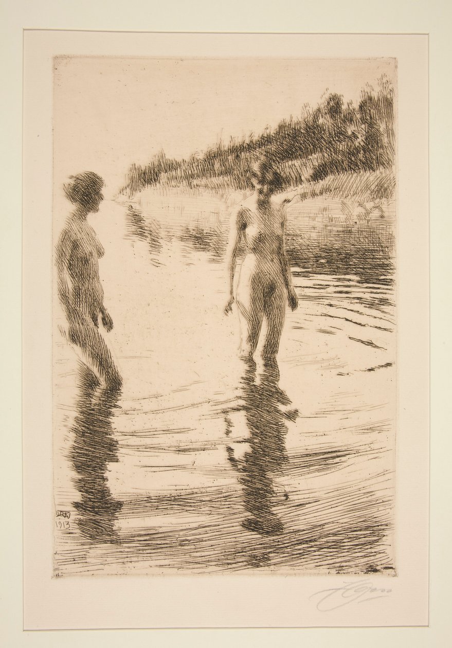 Rasa de Anders Leonard Zorn