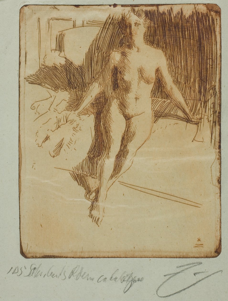 Estudo do modelo de Anders Leonard Zorn