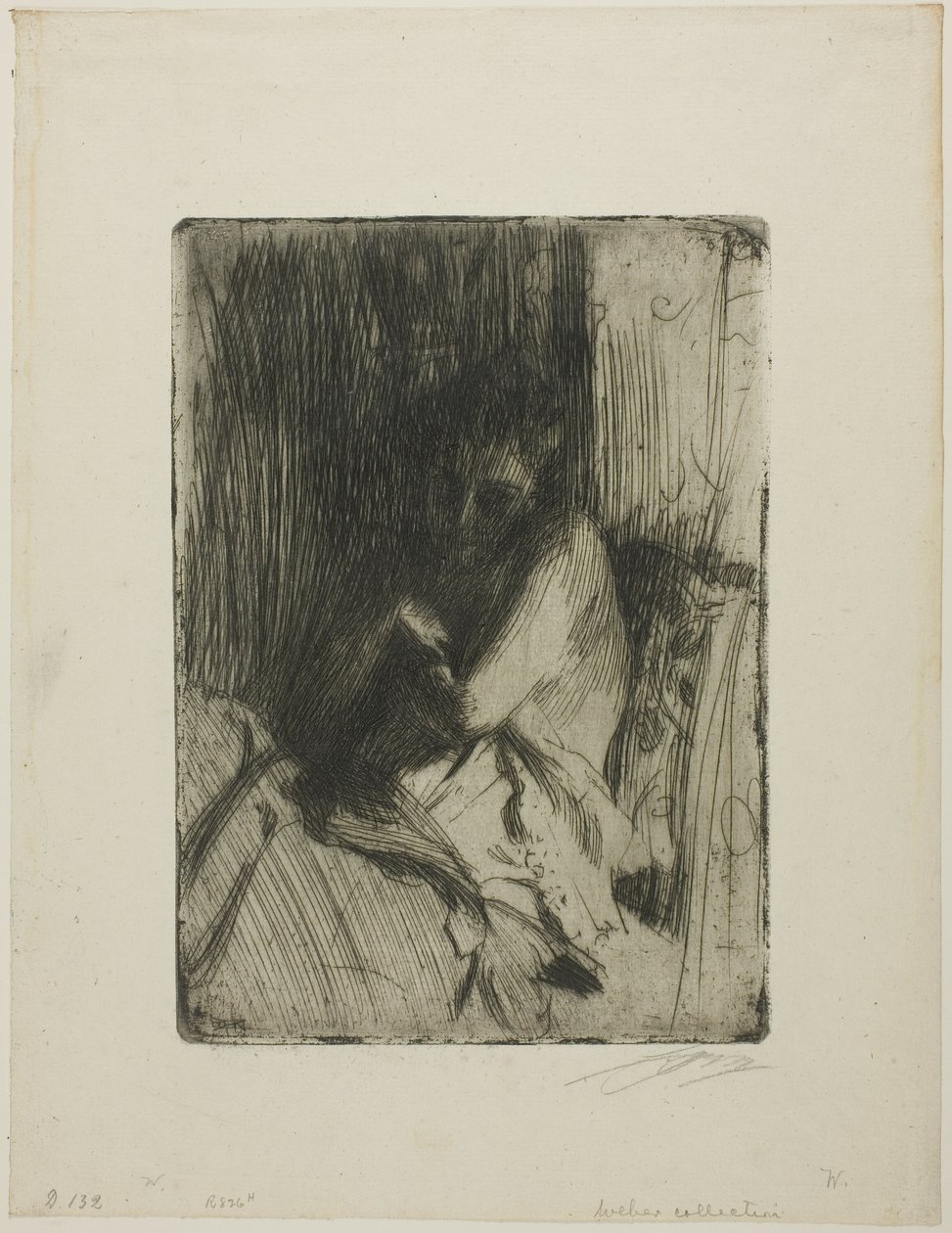 Surpresa de Anders Leonard Zorn