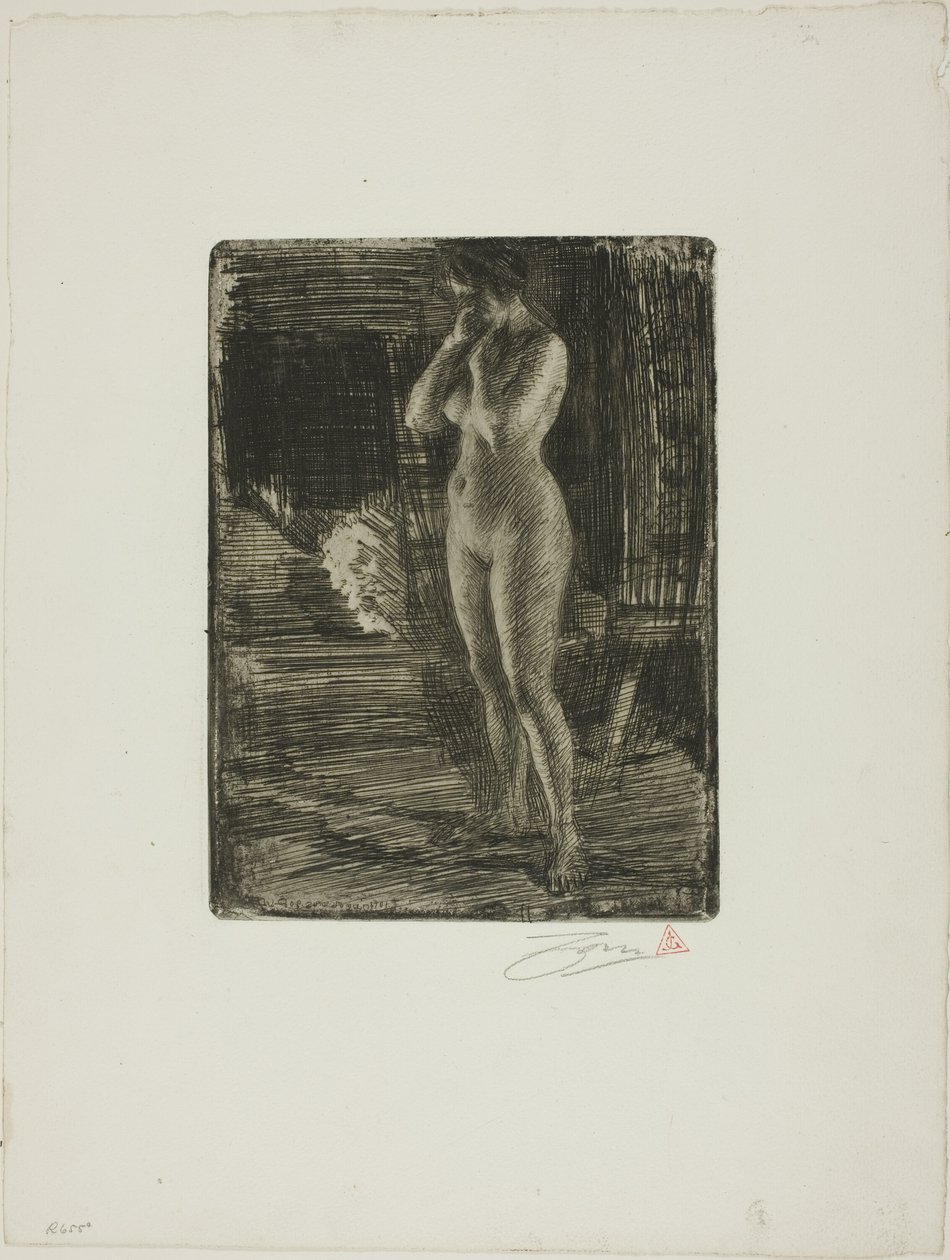 A primeira pose de Anders Leonard Zorn