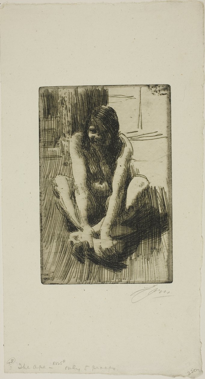 O sapo de Anders Leonard Zorn