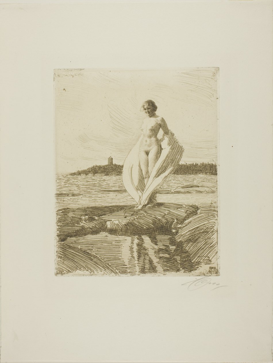 O cisne de Anders Leonard Zorn
