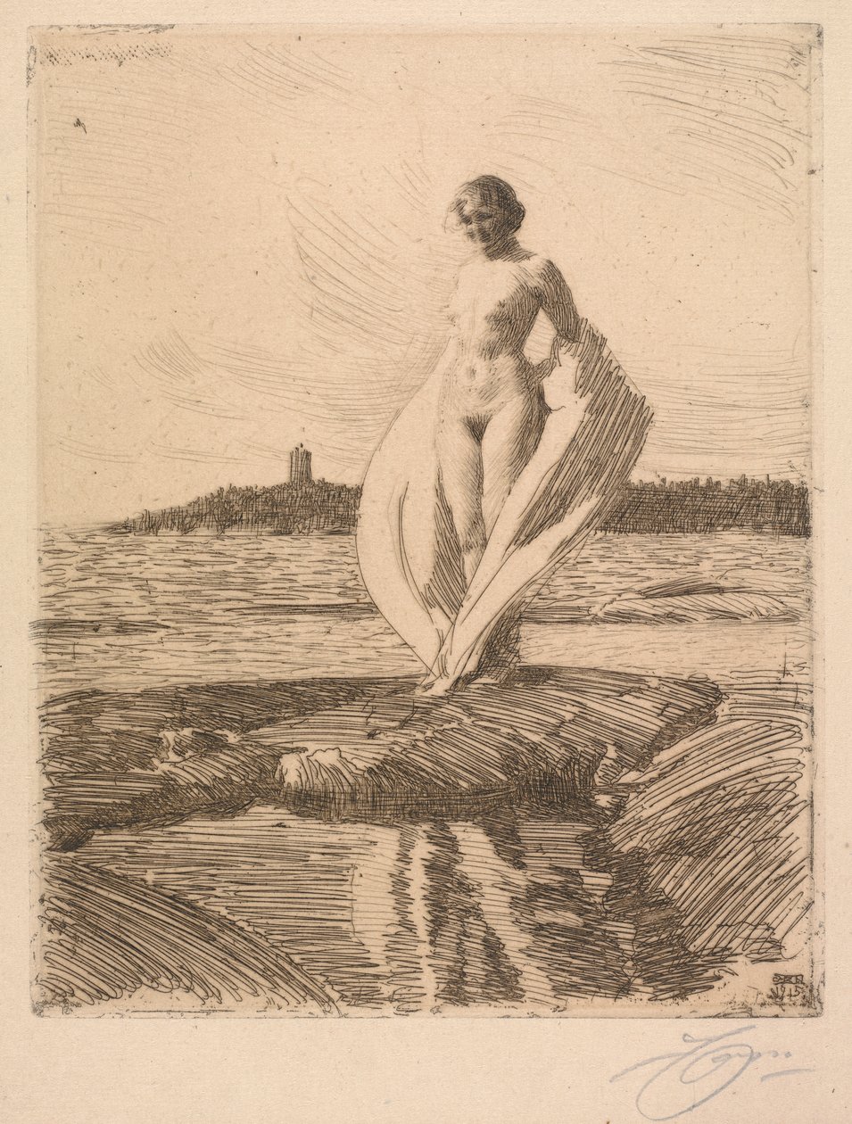 O cisne de Anders Leonard Zorn